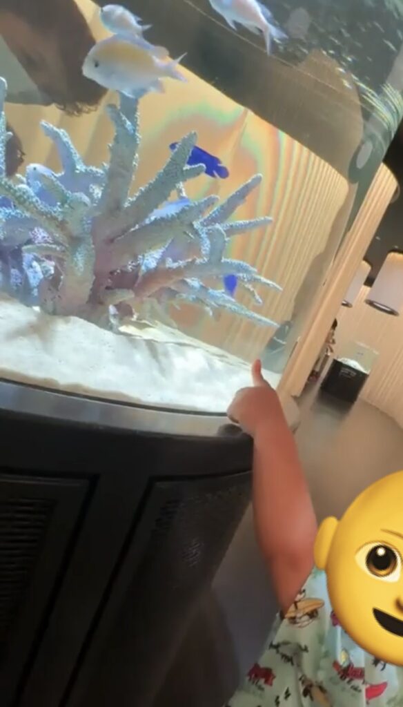 ニフレル水槽の高さ